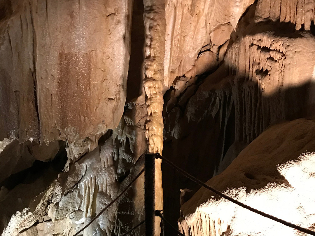 Zupanova jama cave景点图片
