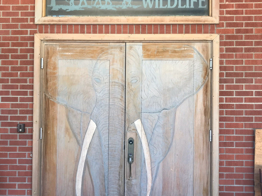 B-Square Ranch-法明顿必去景点