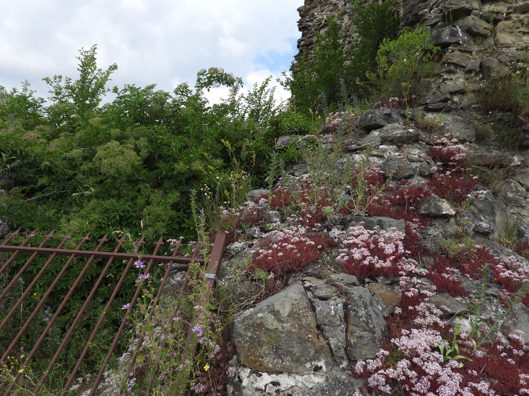 Kasteel Montfort-Montfort必去景点