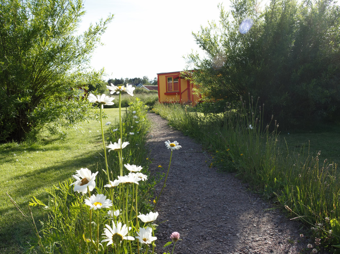 Zanzibar Bed and Breakfast主图