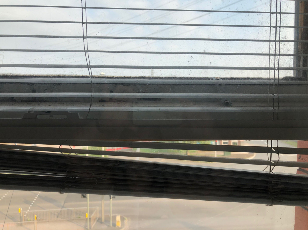 The Waterloo Hotel & Bistro主图