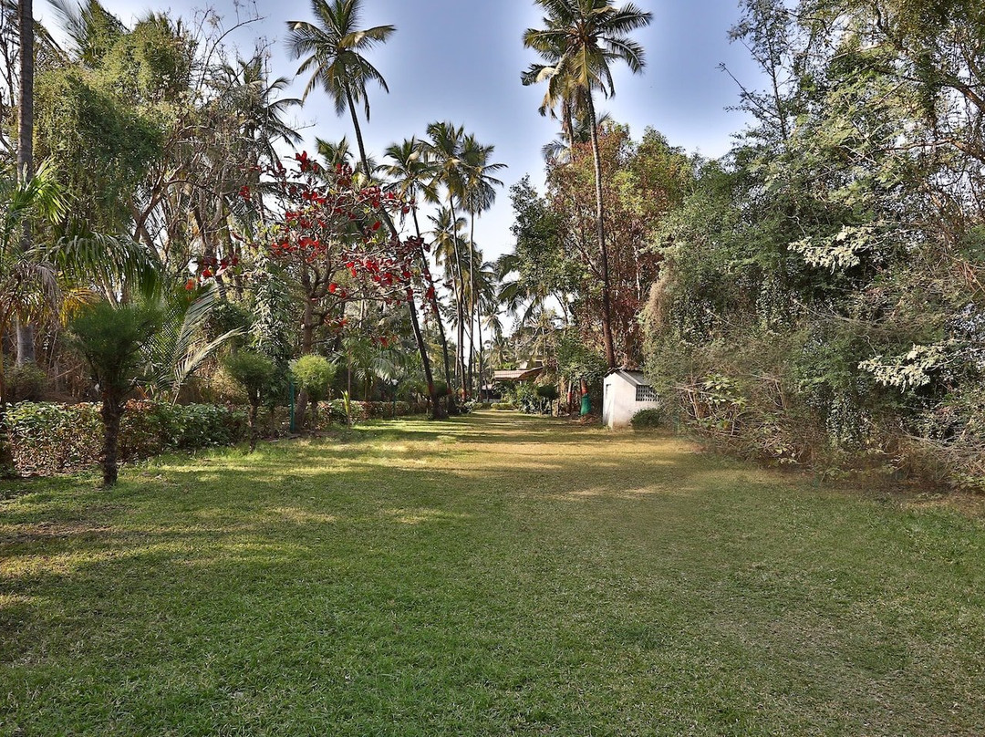 OYO 24163 C Beach Resort