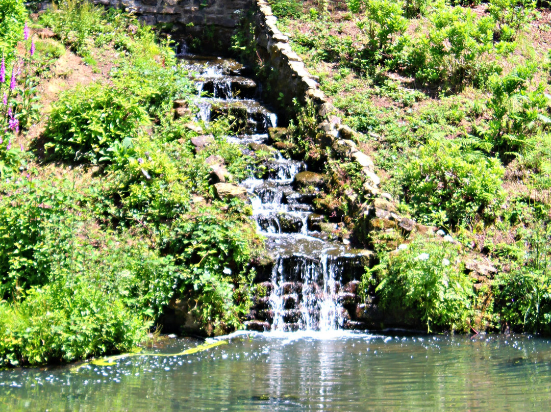 Leonardslee Lakes & Gardens景点图片