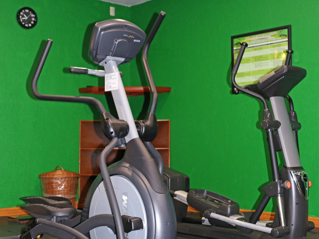 拉皮达德假日酒店主图