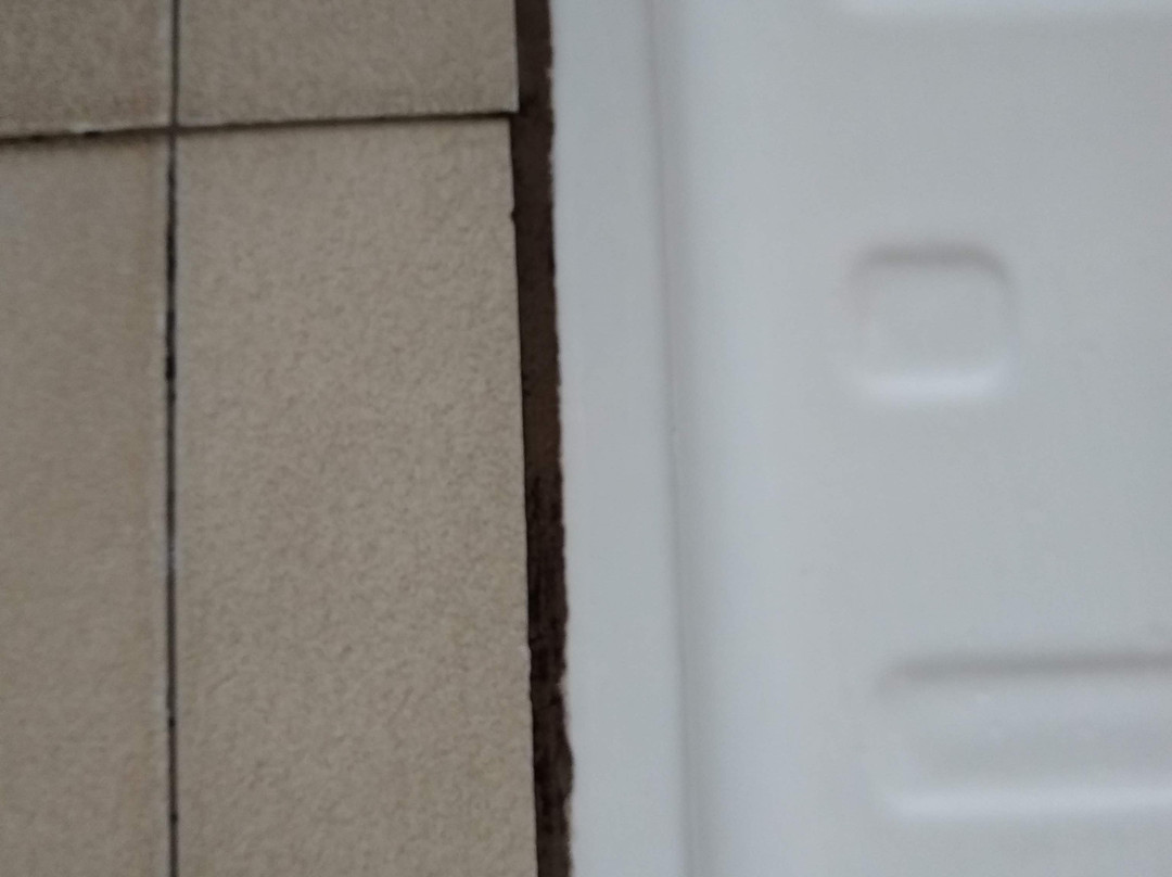 Casa Raphael - Palace Hotel主图