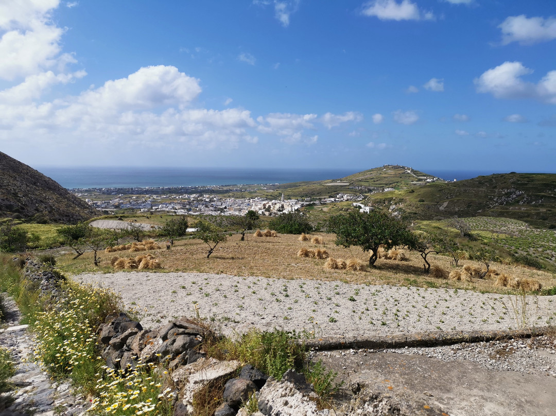 Santorini Walking Tours景点图片