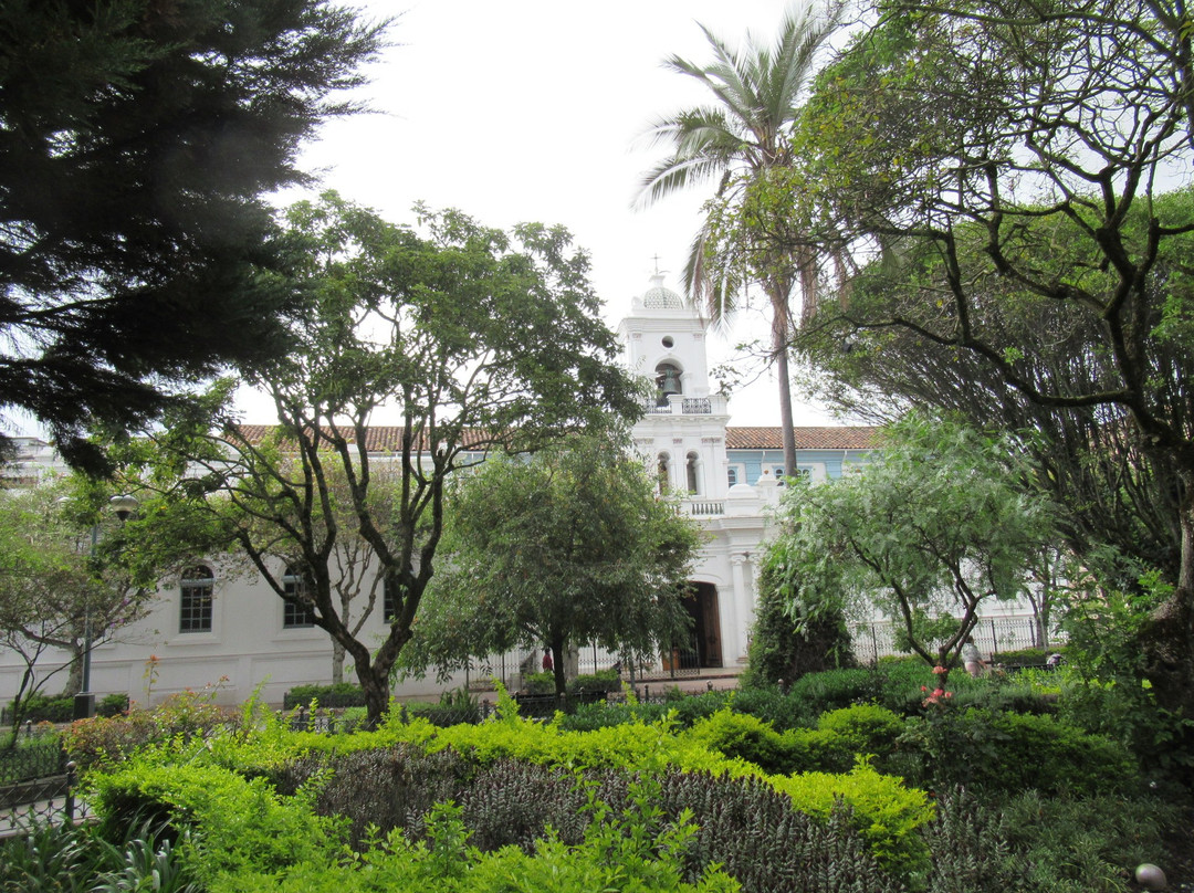 Plaza Abdon Calderon景点图片