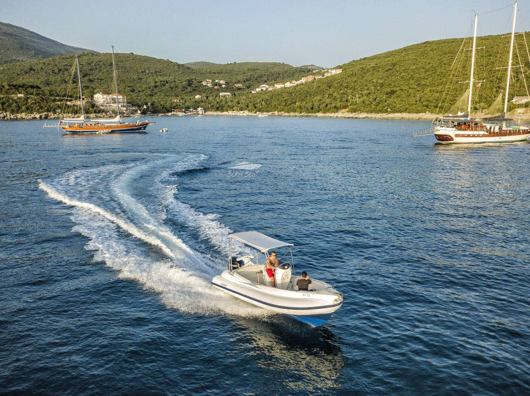 Boka-Boat.com Speed Boat Rides-Tivat Municipality必去景点