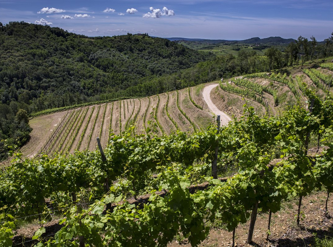 Tenuta Stella-Dolegna del Collio必去景点
