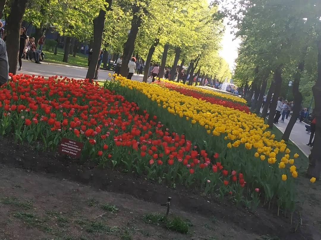 Kirovohrad Arboretum景点图片