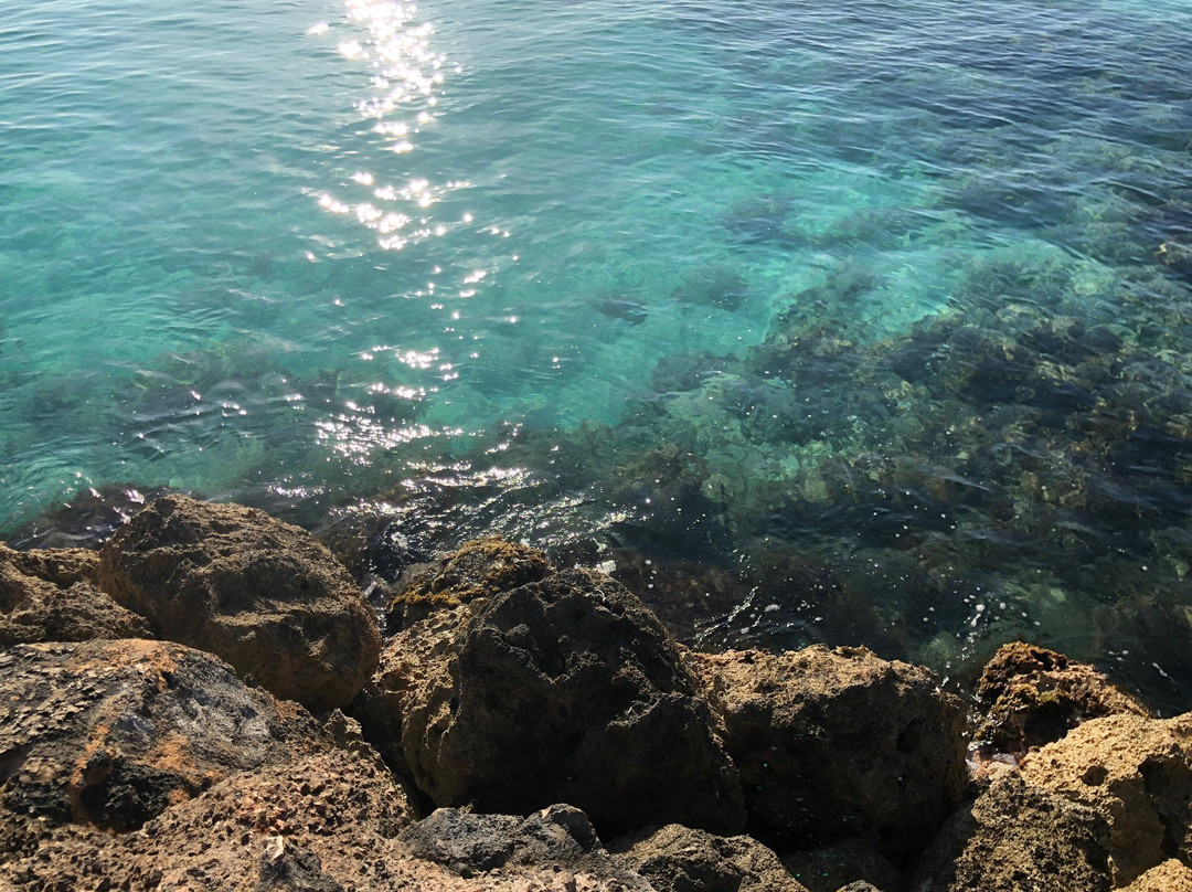 Pineapple Villas主图