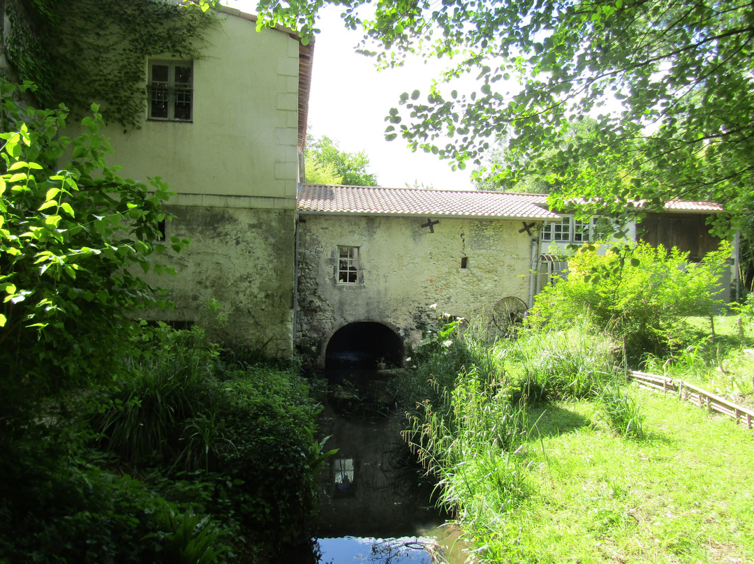 Le Moulin De Moulis主图