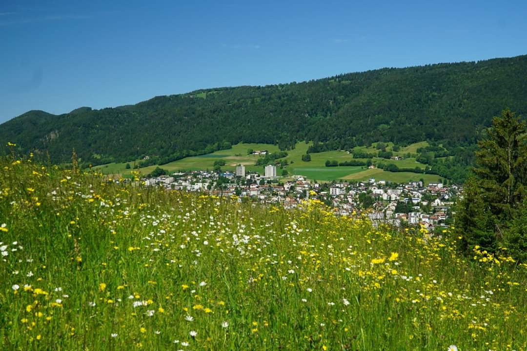 Jura Decouverte Nature景点图片