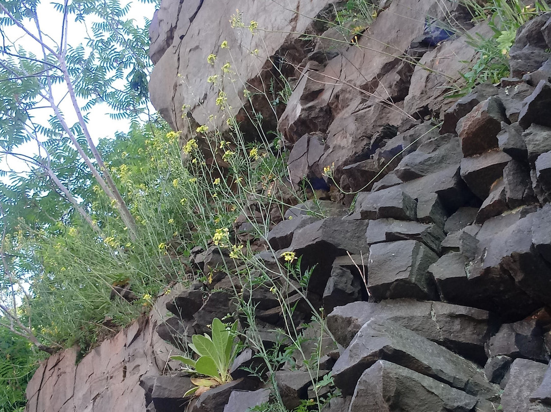 Best Western Plus Poconos Hotel主图