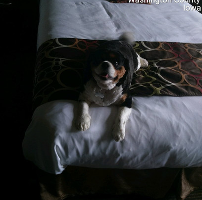 Riverside Casino & Golf Resort主图