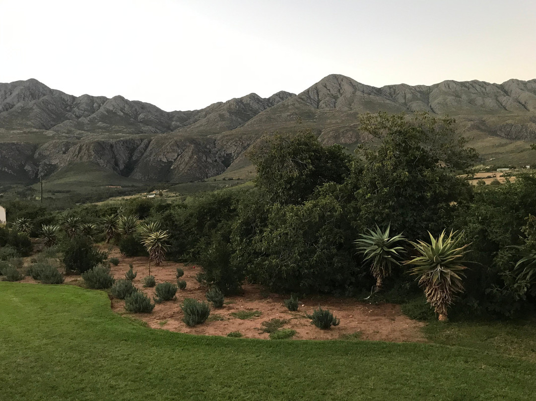 Swartberg Country Manor主图