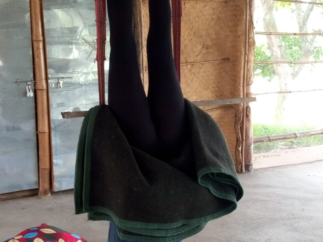 Evergreen Yoga Studio Chitwan-苏拉哈必去景点