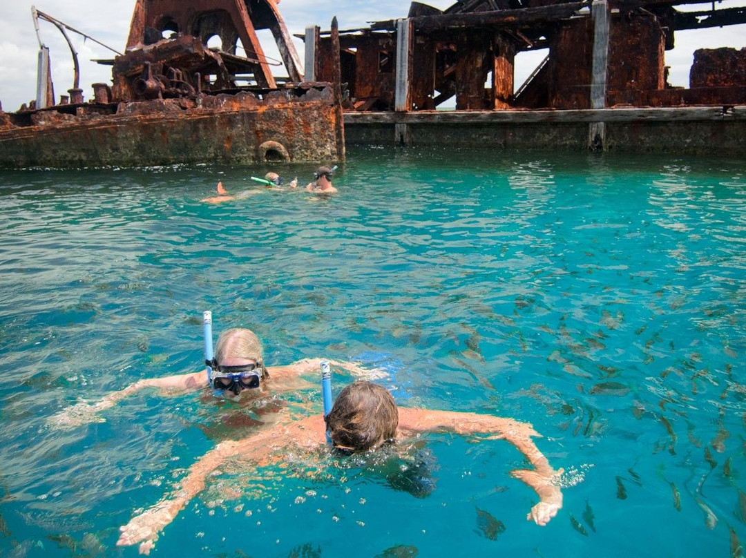 Bushwacker Ecotours-布里斯班必去景点