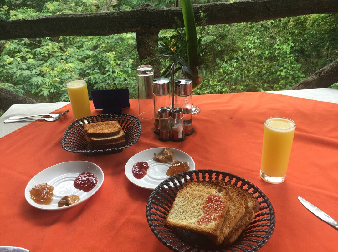 Saron Lodge