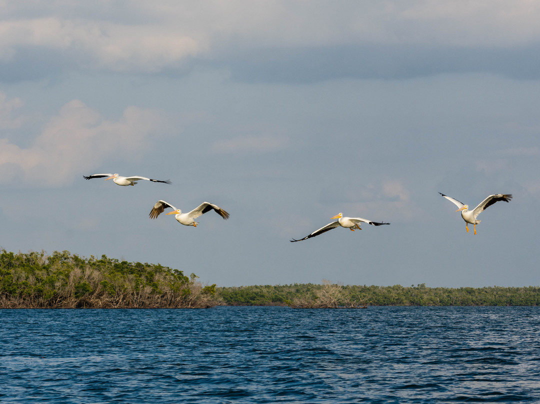 Chokoloskee Bay-大沼泽国家公园必去景点