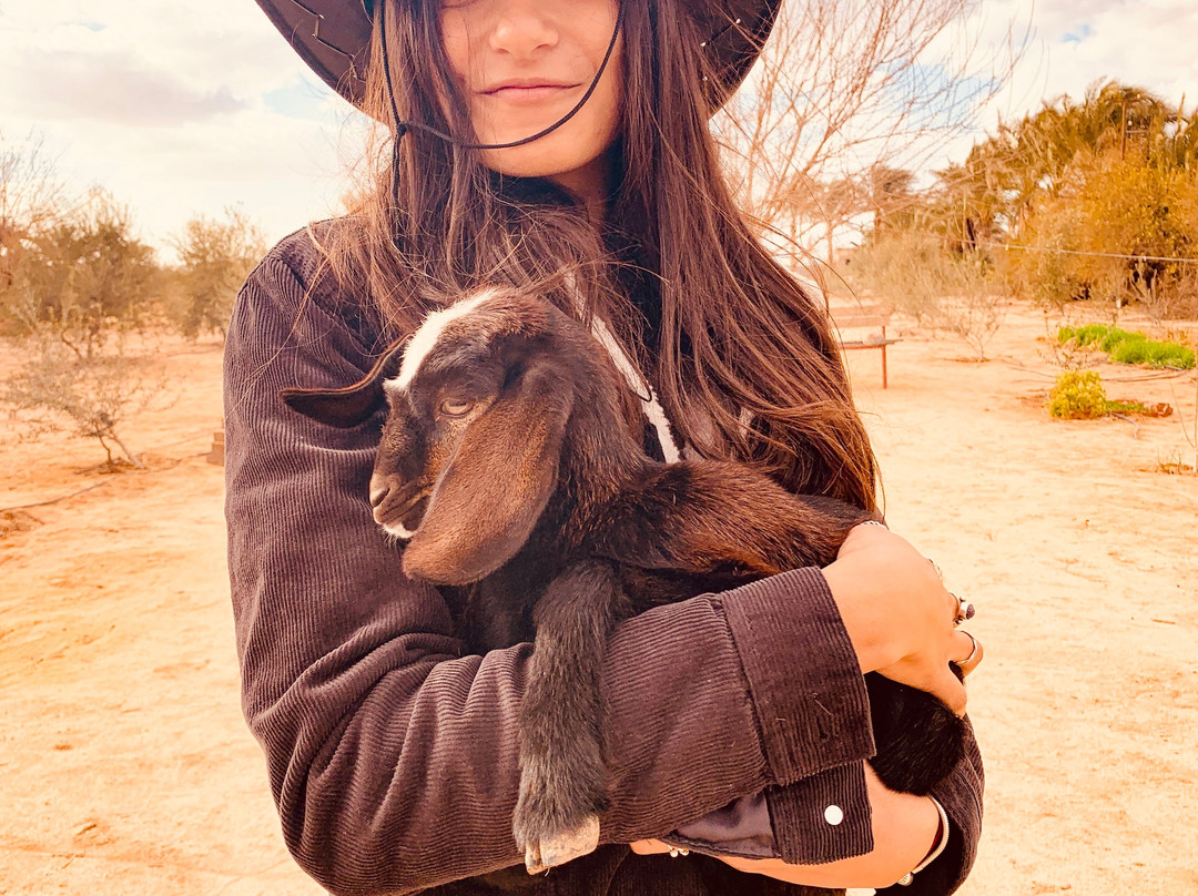 Wiiwii's Farm-吉萨必去景点