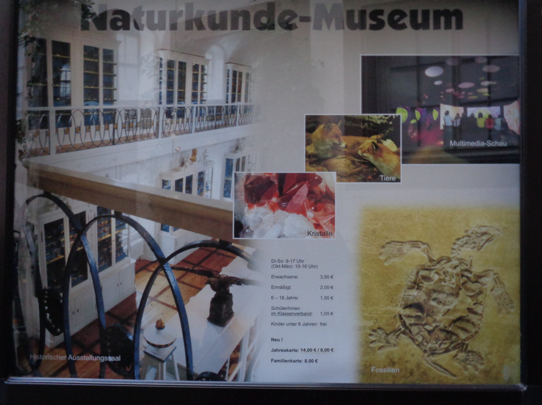Naturkunde-Museum Bamberg景点图片