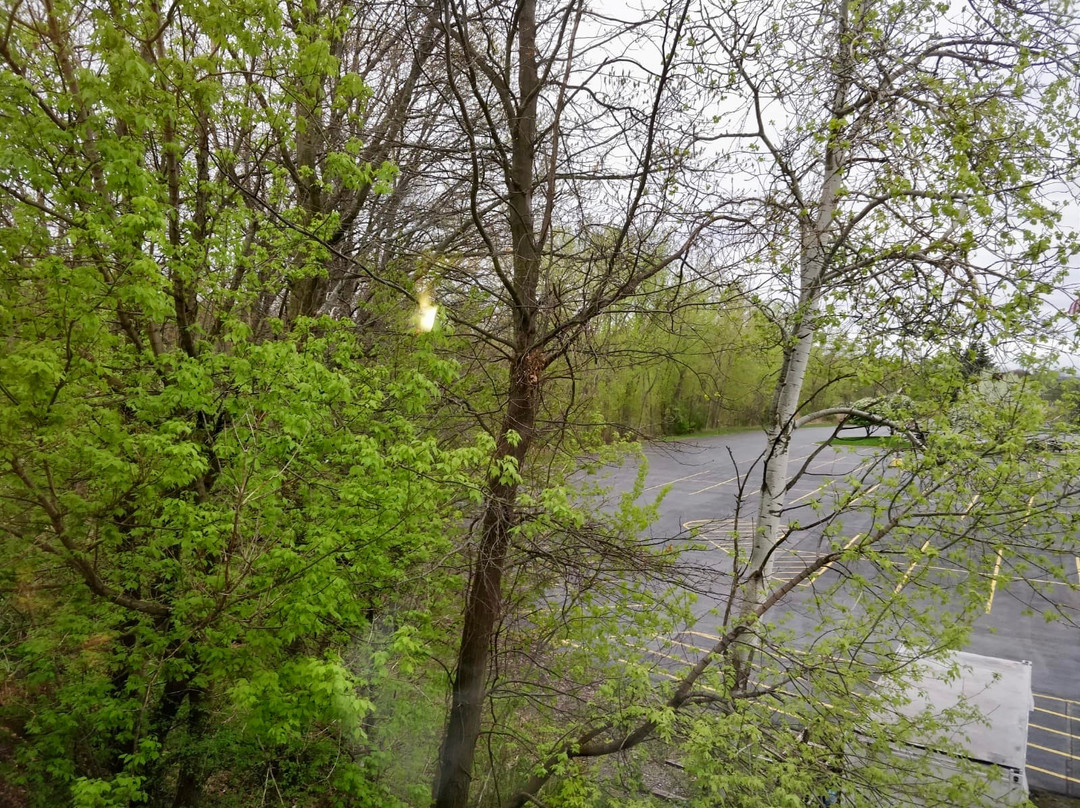 锡拉丘兹机场智选假日酒店主图