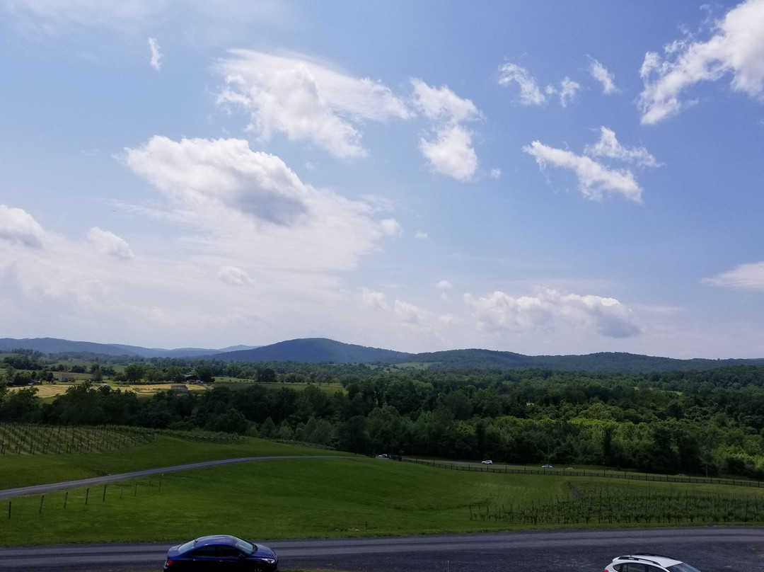 Delaplane Cellars-Delaplane必去景点