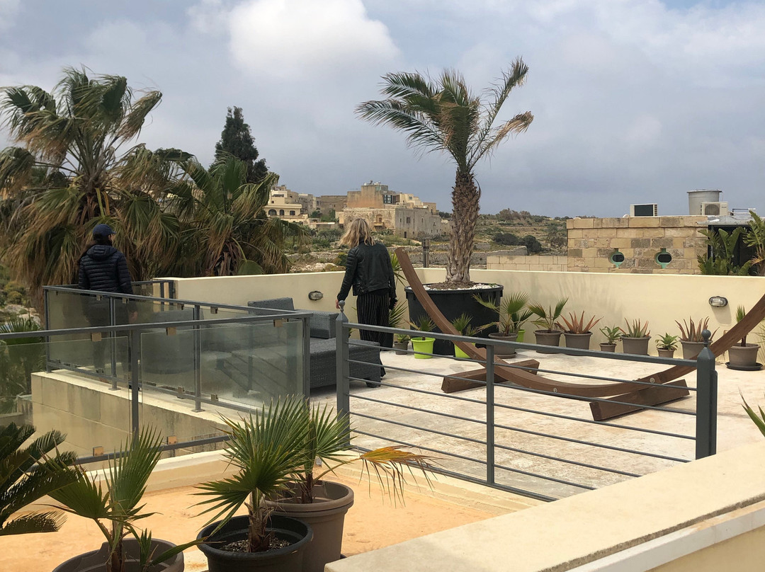 Thirtyseven Gozo主图