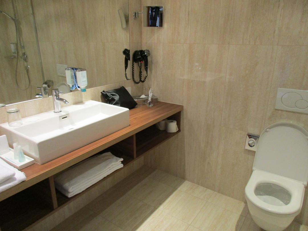 Cityhotel Design & Classic主图