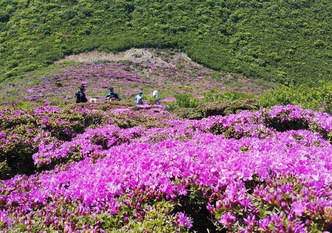 Miyama Kirishima景点图片