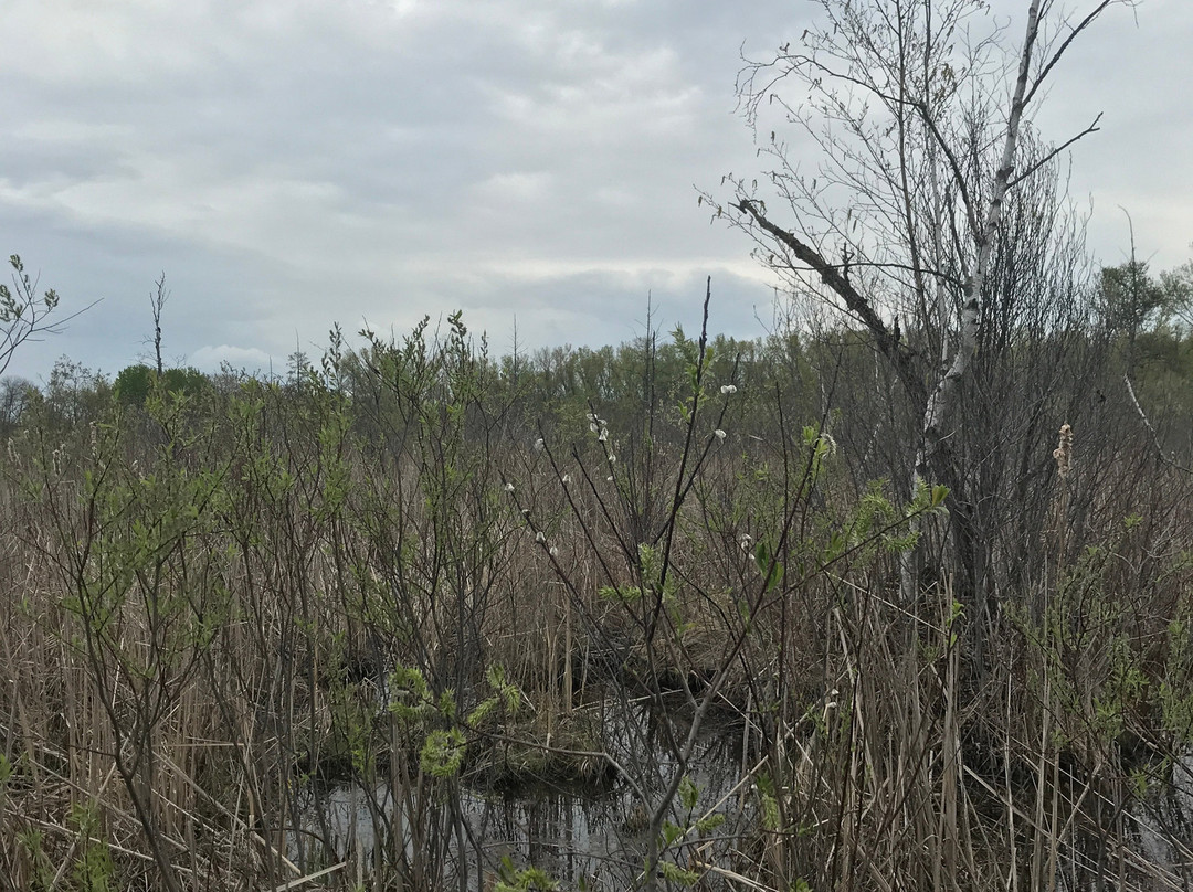 Tamarack Nature Preserve景点图片