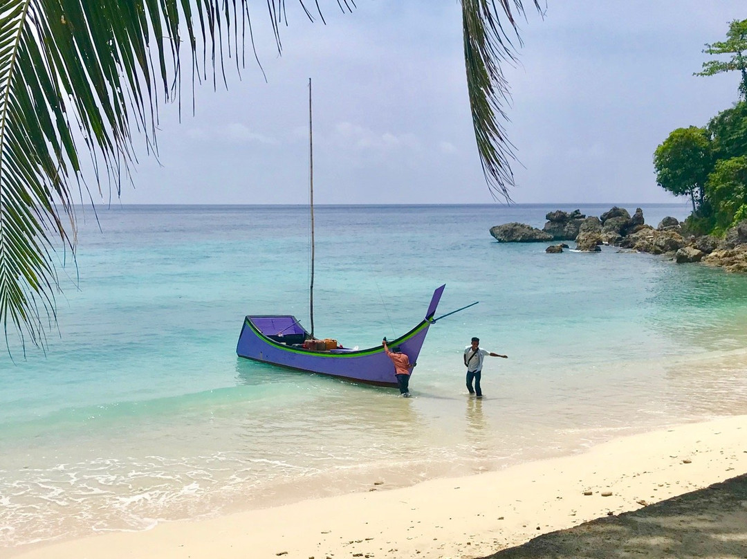 Bie Tour and Travel - Day Tours-韦岛必去景点