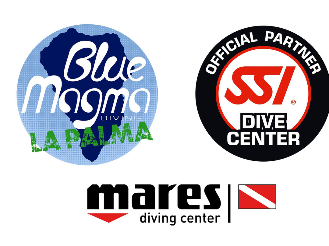 Blue Magma Diving La Palma景点图片