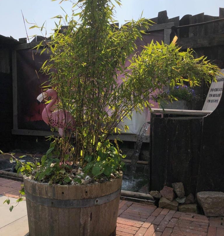 Sauna Het Kuurhuys-Hippolytushoef必去景点