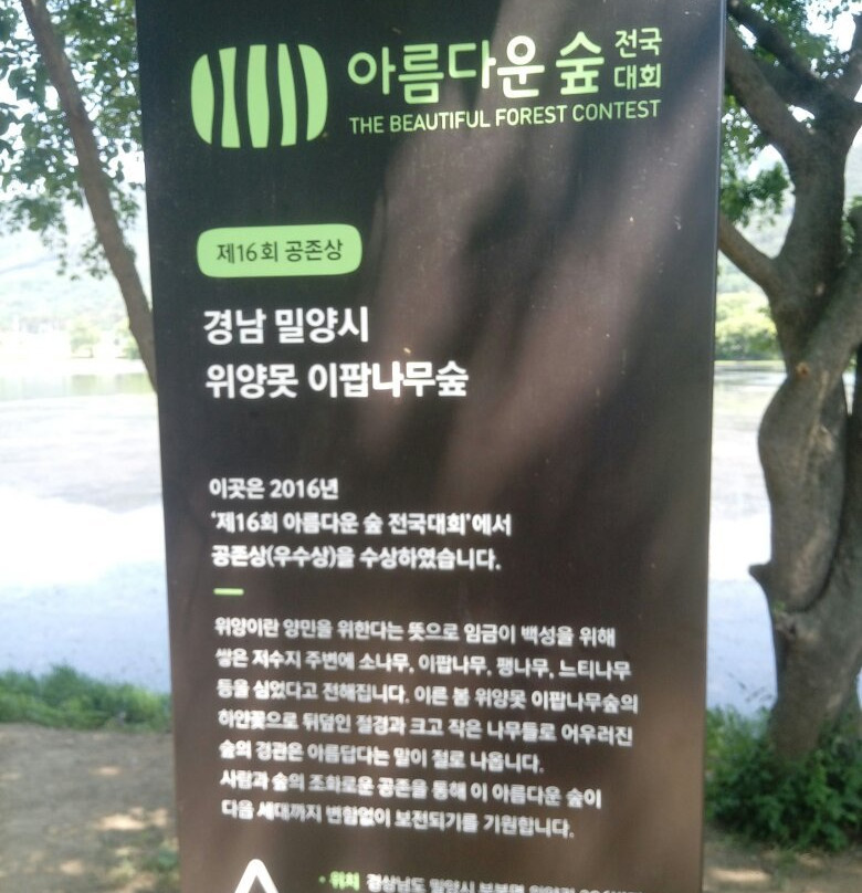 Wiyangji-密阳市必去景点