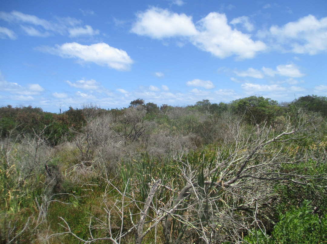 Piccaninnie Ponds Conservation Park景点图片