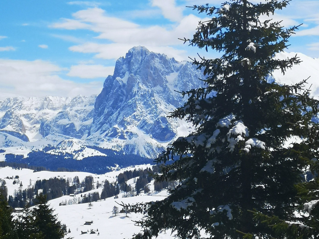 Hotel Chalet Dolomites主图