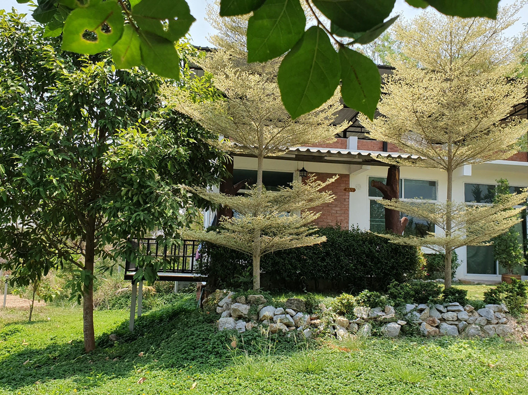 瞌睡泻湖度假酒店主图