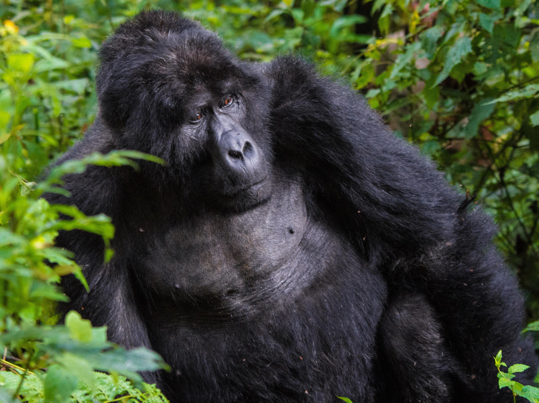 Unzip Africa-坎帕拉必去景点