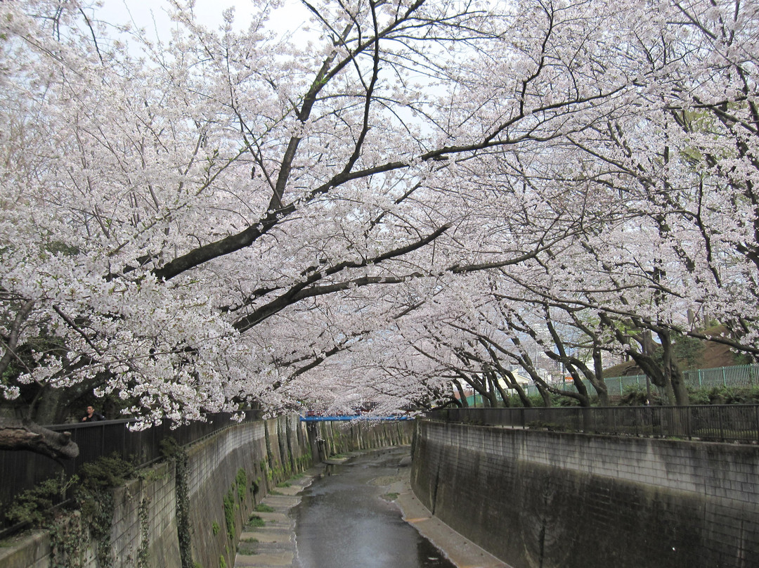 Shakuji River Green Road-板桥区必去景点