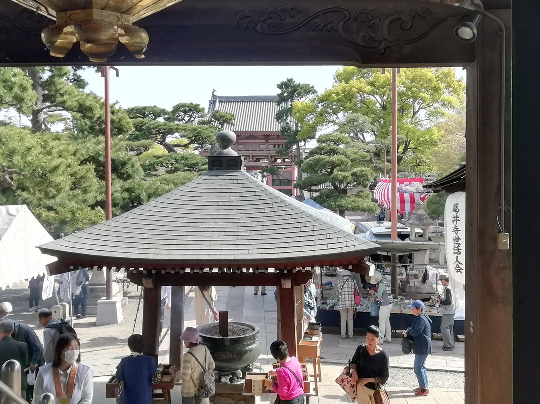 Fujii-dera Temple Hondo景点图片