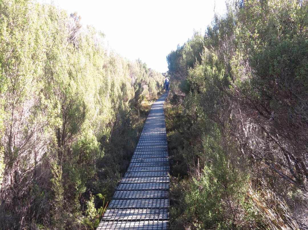 Kahurangi Guided Walks景点图片