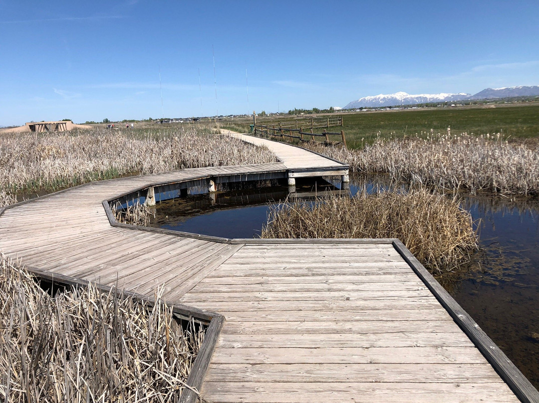Great Salt Lake Shorelands Preserve-莱顿必去景点