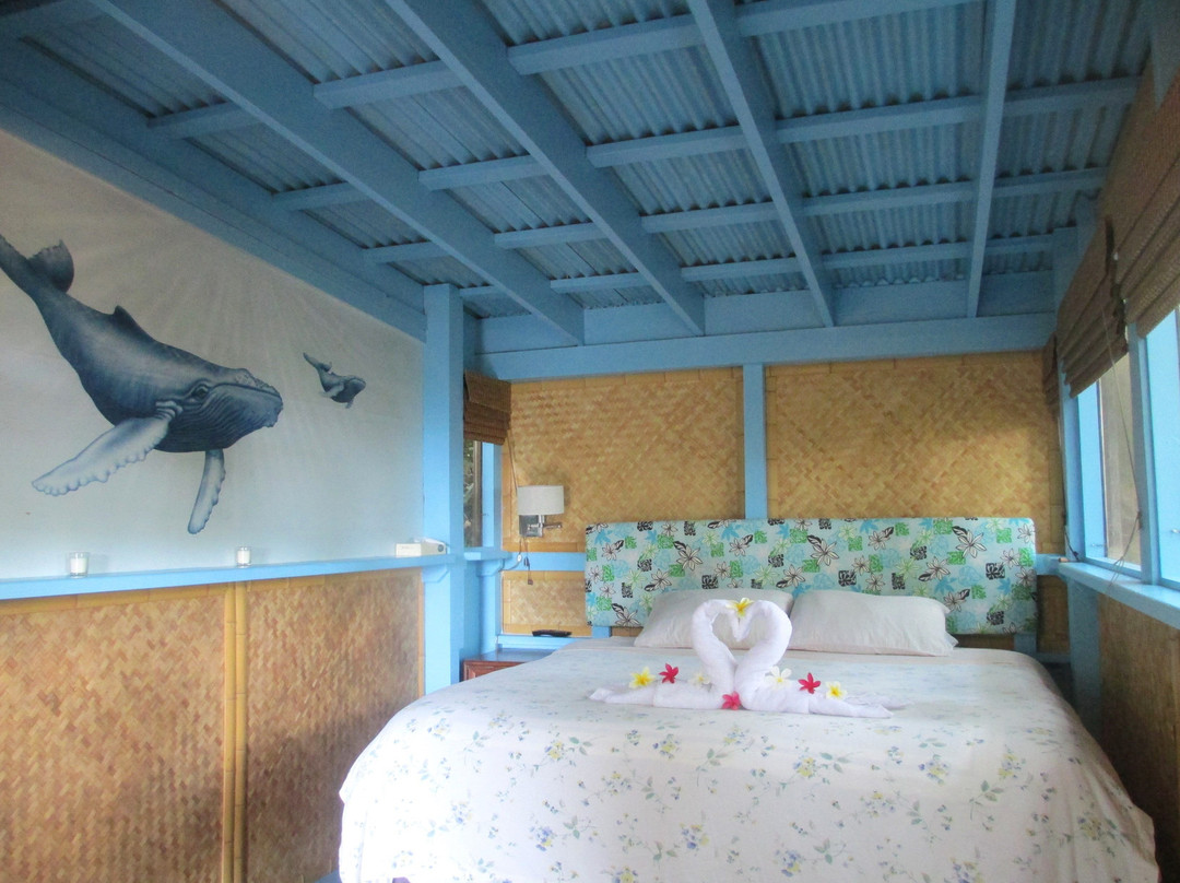 South Kona Coffee Retreat主图