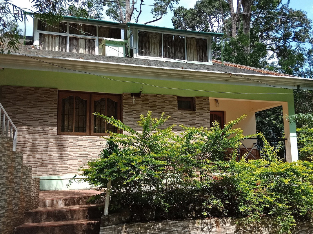 Single Tree Resort