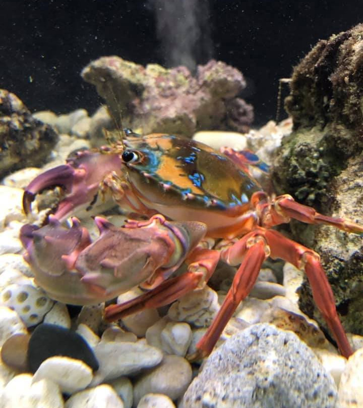Discover Marine and Wildlife Eco Centre-阿罗朗吉必去景点