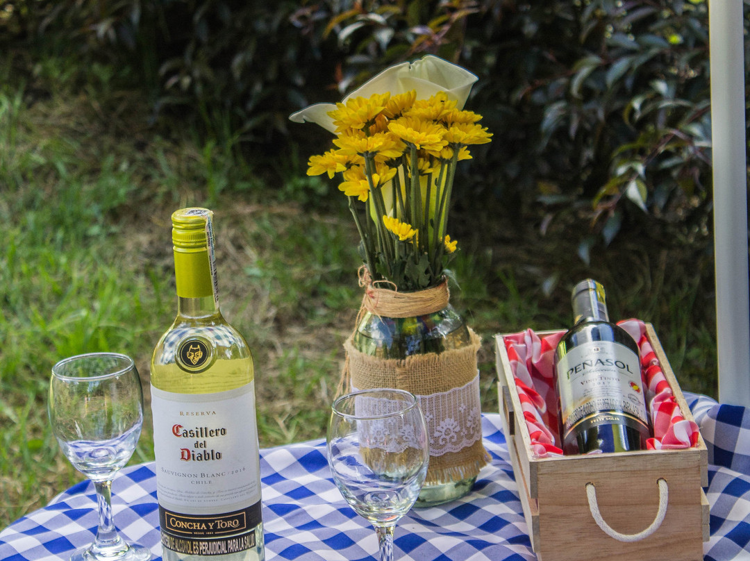 Eco Hotel Terrabella主图