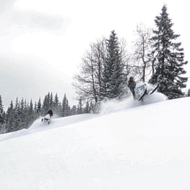 Buzz's Backcountry Adventures-韦尔必去景点