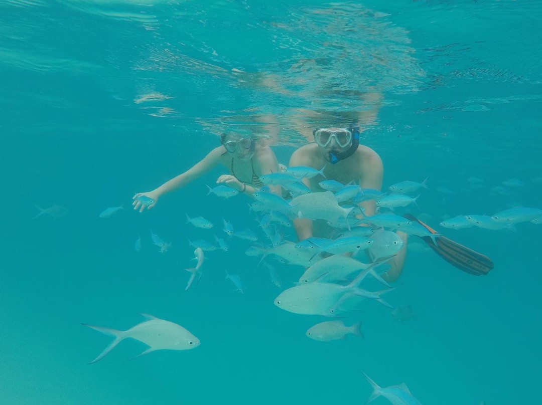 拉斯胡环礁岛酒店 主图